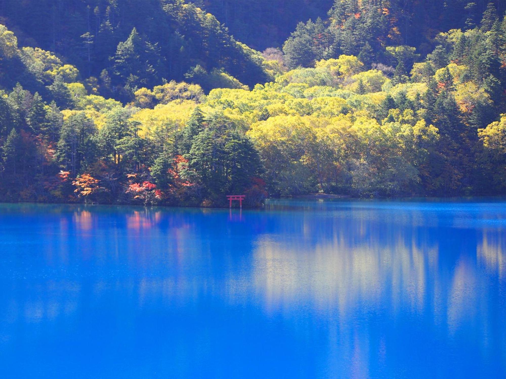 Hotel Ichinose Yamanouchi  Zewnętrze zdjęcie